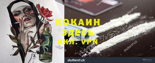 сатива Белокуриха