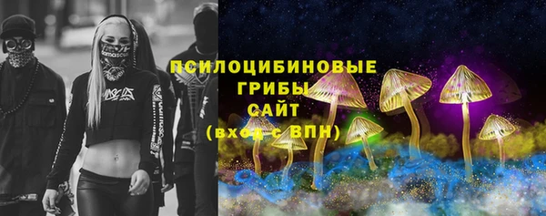 сатива Белокуриха